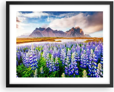 Produktbild von Gerahmtes Poster - Schwarzer Rahmen - Berge Wiese Blumen - 50x40 cm - Wand Bild - Wanddeko - Wandbilder - Kunstposter - Wandposter - Bilderrahmen - Bilder - Kunstdruck - Wandbild - P2BAA50x40-4114
