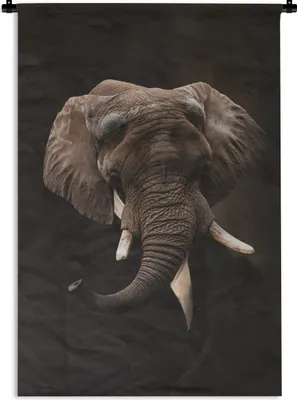 Produktbild von MuchoWow® Wandteppich Wandbehang Alte Meister - Elefant - Tiere 120x180 cm Tapisserie Dekoration Wandtuch - Schlafzimmer - Dekorationen für das Haus