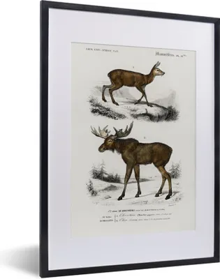 Produktbild von MuchoWow® MuchoWow® Gerahmtes Poster Vintage - Tier - Elch 30x40 cm - Poster mit zchwarzem Bilderrahmen - Wandposter Schlafzimmer