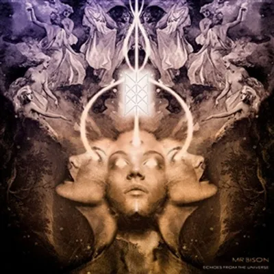 Produktbild von Echoes from the Universe