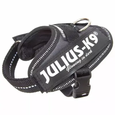 Immagine prodotto di Pettorina per cani Julius K9 IDC taglia Baby 1 antracite 16IDC-ANT-B1