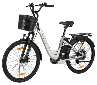 Immagine prodotto di E-bike C2 PRO - Bicicletta elettrica da città da 66 cm per uomo e donna - 250 W, 36 V, 18 Ah - 7 marce - Freni a disco - Velocità massima 25 km/h - A due posti - Argento