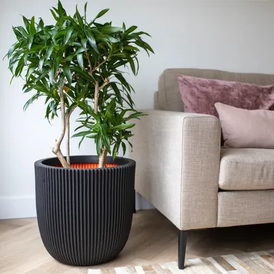 Produktbild von Capi Pflanzgefäß Groove 35x34 cm Schwarz