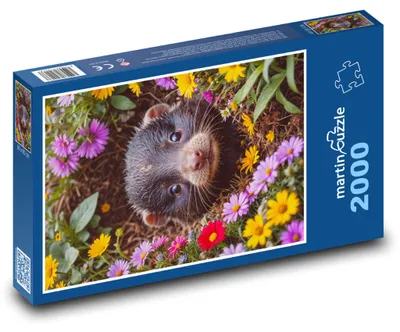 Zdjęcie produktu dla martinpuzzle - Puzzle 2000 - "Krtek" (Boberek)