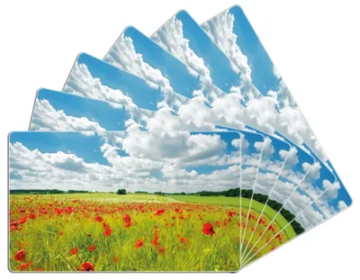 Produktbild von Wallario Frühstücksbrettchen 6er Set aus Glas, je 14 x 23 cm, mit rutschfesten Füßen, Motiv Grüne Wiese mit Mohnblumen