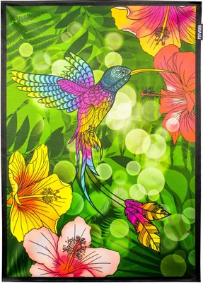 Produktbild von PSYWORK Schwarzlicht Stoffposter Neon "Kolibri Hibiskus Flower", 50x70cm