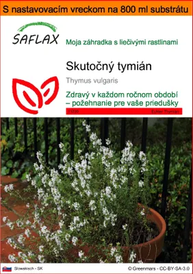 Obrázok produktu pre SAFLAX Garden in the bag - Skutočný tymián - Thymus vulgaris - 200 Semená - S pestovateľským substrátom v praktickom samostaviteľnom vrecku