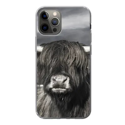 Produktbild von MuchoWow® Handyhülle Schutzhülle Hülle für iPhone 12 Pro Schottischer Highlander - Tiere - Hörner Silikon Softcase Handy Hülle - Abdeckung