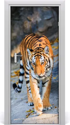 Produktbild von Tulup Türaufkleber 85x205 cm Dekorative Aufkleber Selbstklebend Wasserdichte Tapete Abnehmbar Schlafzimmer Wohnzimmer Wohnkultur - Tiger-Wand