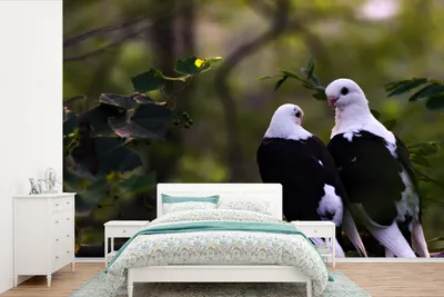 Produktbild von MuchoWow® Fototapete für Wohnzimmer oder Schlafzimmer Wandtapete Vinyl Motivtapete Vögel - Zweig - Blätter - 600x400 cm - Vinyltapeten