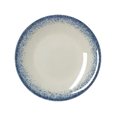 A single flat plate with a speckled blue rim on a white background.