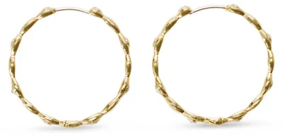 Produktbild von Fossil Damen Goldfarbener Edelstahl mit Ringverschluss Ohrringe