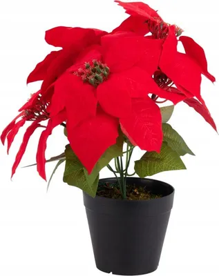 Image de Étoile de Bethléem fleur rouge artificielle en pot 30cm