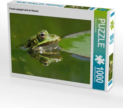 Produktbild von CALVENDO Puzzle Frosch spiegelt sich im Wasser | 1000 Teile Lege-Größe 64x48cm Foto-Puzzle für glückliche Stunden