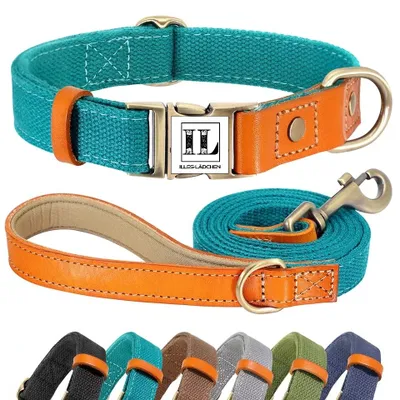 Produktbild von Halsband Leine Set Hundehalsband Hundeleine Größe S in türkis Nylon Leder Hund beste Qualität