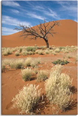 Produktbild von ARTland Leinwandbild Namib-Wüste 2 Größe: 40x60 cm