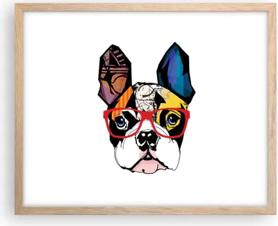 Produktbild von Gerahmtes Poster - Rahmen in heller Eiche - Hund Brille Bunt Bulldogge - 50x40 cm - Wand Bild - Wanddeko - Wandbilder - Wandposter - Bilderrahmen - Bilder - Kunstdruck - Wandbild - P2NAA50x40-3206