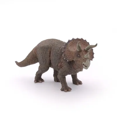 Image de Triceratops