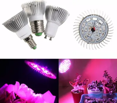 Productafbeelding van 8W LED-kweeklamp voor hydroponische planten, volspectrum, E27-fitting