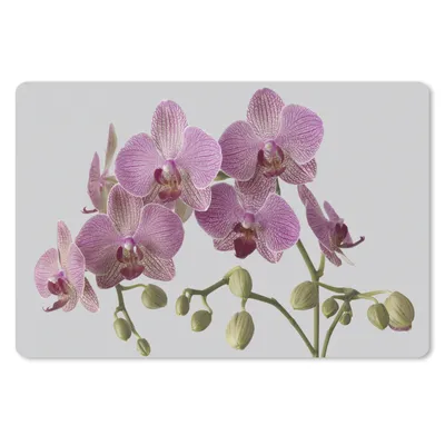 Produktbild von MuchoWow® Mauspad Mousepad Orchideen auf grauem Hintergrund 27x18 cm - Mousepads - Maus Mat - Pad - Mausunterlage - Büroartikel - Desk Matten