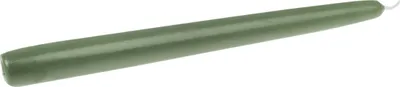 Produktbild von Spitzkerzen Salbei 240/24 mm, 12 Stück Steinhart Kerzen in RAL-Kerzen Güte Qualität