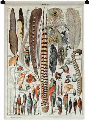 Produktbild von MuchoWow® Wandteppich Wandbehang Federn - Vogel - Tiere 90x135 cm Tapisserie Dekoration Wandtuch - Baumwolle - Wandskulptur