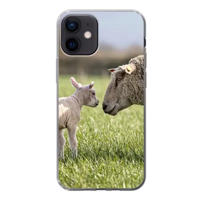 Produktbild von MuchoWow® Handyhülle Schutzhülle Hülle für iPhone 12 Schafe - Gras - Lamm Silikon Softcase Handy Hülle - Schutzhülle