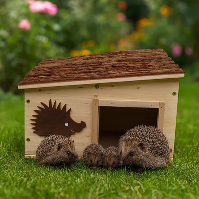 Produktbild von Igelhaus aus Holz als Winterquartier, werksseitig vorimprägniert, B/H/T 26 x 21,5 x 32 cm