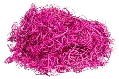 Lockerer Ballen krauser Fasern im kräftigen Farbton Fuchsia