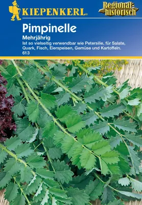 Produktbild von Pimpinelle mehrjährig