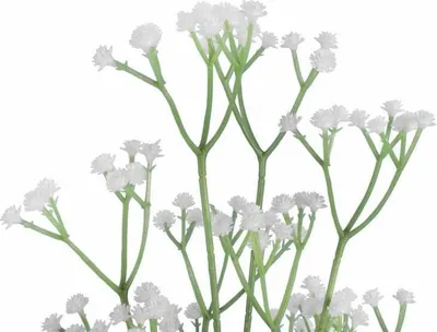 Zdjęcie produktu dla Gałązka Gipsówki 62 Cm Kolor Biały