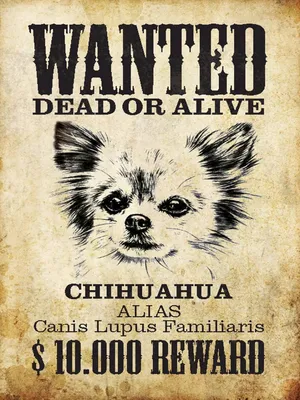Produktbild von vianmo Holzschild 40x30 cm Hund wanted Chihuahua Alias