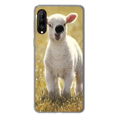 Produktbild von MuchoWow® Handyhülle Schutzhülle Hülle für Huawei P30 Lite Lamm - Gras - Sonne Silikon Softcase Handy Hülle - Handyhülle
