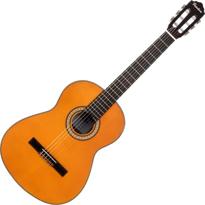 Obrázek produktu pro Pasadena PC-100 4/4 Natural Klasická kytara