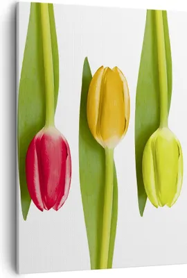 Produktbild von Bild auf Leinwand - Leinwandbild - Einteilig - Tulpe Blume Garten Komposition - 50x70cm - Wand Bild - Wanddeko - Wandbilder - Leinwanddruck - Wanddekoration - Leinwand bilder - Wandbild - PA50x70-2360