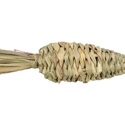 Produktbild von TRIXIE Grasspielzeug Karotte, 20 cm / 6 cm