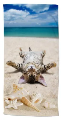 Obrázek produktu pro Plážová osuška z mikrovlákna Good Morning 75 X 150 cm Beachcat barevná