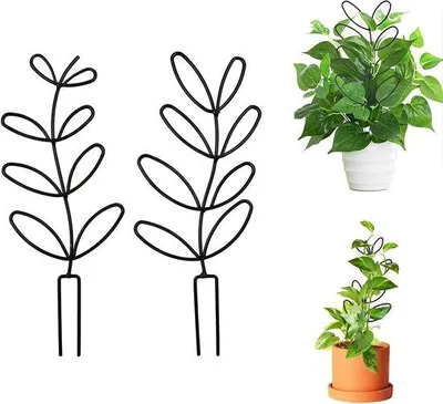 Produktbild von Famanu Rankgitter für Zimmerpflanzen und Garten - 2 Stück, Pflanzenstütze und Kletterhilfe für Topfpflanzen