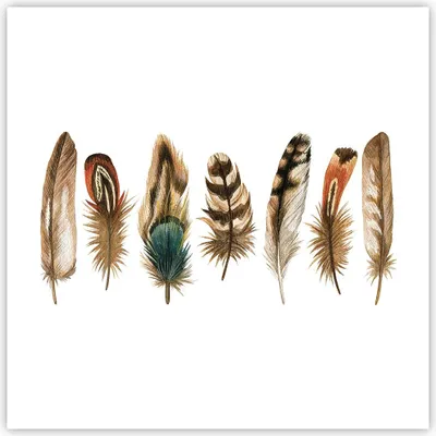 Produktbild von Poster - Poster ohne Rahmen - Weiß Hintergrund Federn - 50x50 cm - Wand Bild - Wanddeko - Wandbilder - Kunstposter - Wandposter - Bilder - Kunstdruck - Wanddekoration - Wandbild - P2XAC50x50-4419