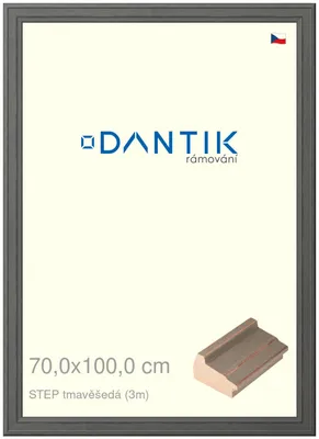 Zdjęcie produktu dla Ramka DANTIK 70x100 | STEP ciemnoszara (Plexi Clear)