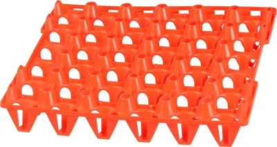 Obrázek produktu pro Přepravka Strend Pro, na 30 vajec, plastová, 29x4,5 cm