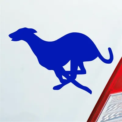 Produktbild von Auto Aufkleber Windhund Hund Dog Animal Tier 12x7,5 cm Dunkelblau Sticker Heckscheibenaufkleber