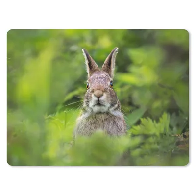 Produktbild von MuchoWow® Mauspad Mousepad Kaninchen - Gras - Grün 40x30 cm - Mousepads - Maus Mat - Pad - Mausunterlage - Anti Rutsch