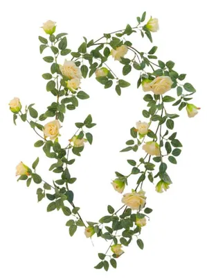 Produktbild von Künstliche Rosen-Girlande 1.8 m Beige Seidenblumen Ranke für Hochzeiten