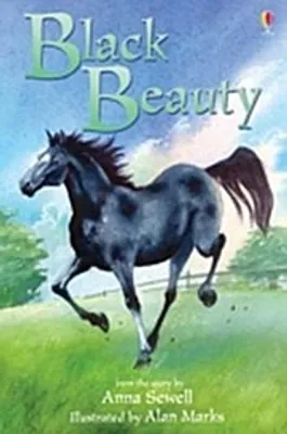 Produktbild von Black Beauty
