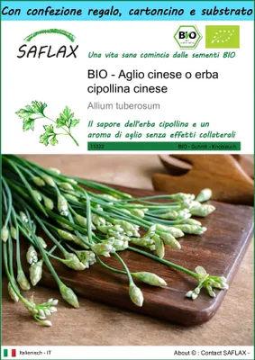 Immagine prodotto di SAFLAX Set regalo - BIO - Aglio cinese o erba cipollina cinese - 100 semi - Allium