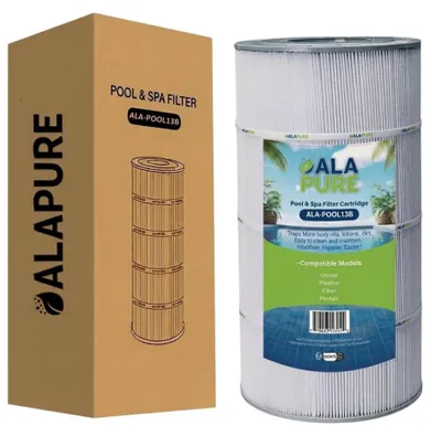 Image de Filtre à eau pour piscine Alapure, compatible avec les modèles Hayward C100SE / CX100XRE / PC158 / PA100S / C-8408