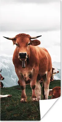 Produktbild von MuchoWow® Poster Tiere - Kuh - Berg 60x120 cm - Wandschmuck