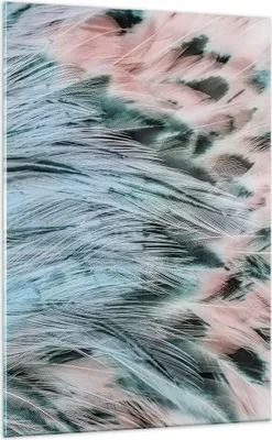 Produktbild von Bilder auf glas - Einteilig - Federn Federn Vogel - 70x100cm - Glasbilder - Wandbilder - Bilder - zum Aufhängen bereit - Wanddekoration aus Glas - Glas Bilder - Wandbild auf Glas - GPA70x100-3742