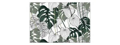 Produktbild von Muralo Fototapete 90 x 60 cm Vlies Tapete Wandtapeten moderne Wandbilder XXL Dschungel Monstera Exotisch